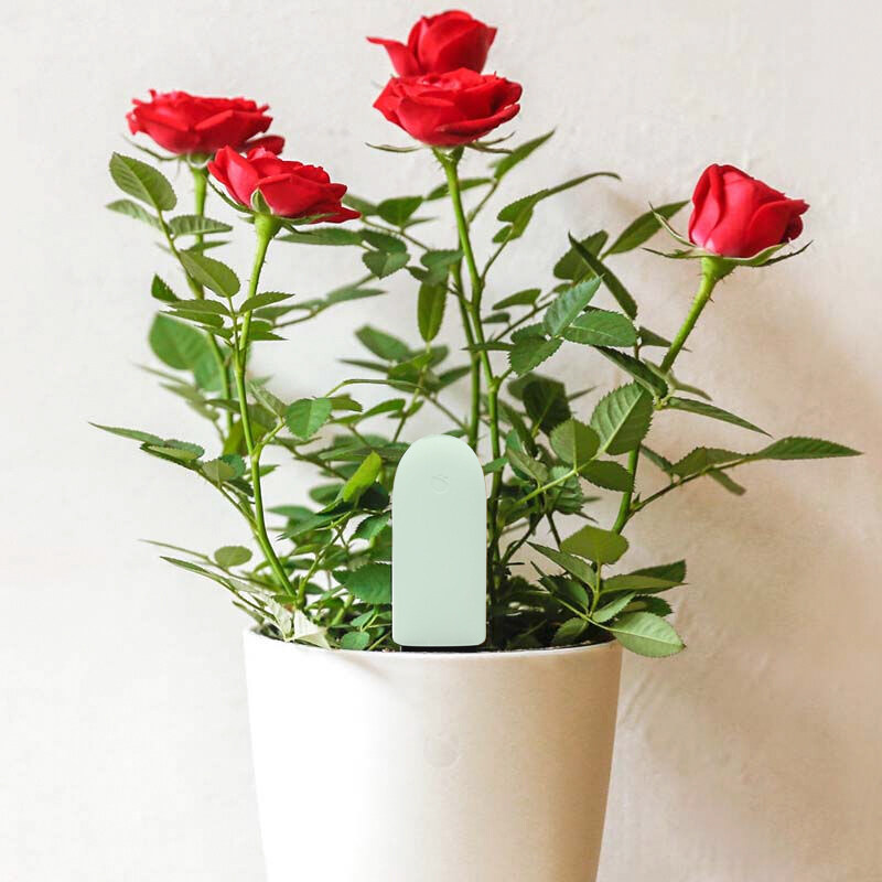 【正品现货】小米花花草草检测仪3.0 玩物尚智智能设备其他智能设备