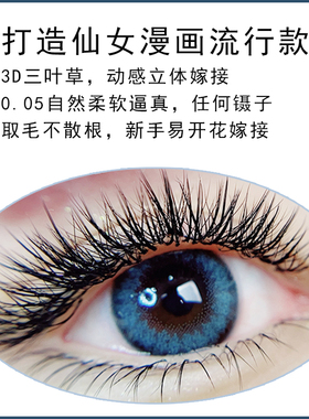 睫丽安嫁接3d三叶草美容院