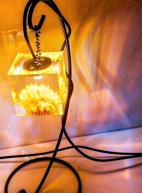 创意卧室生态植物台灯野外台式露营氛围灯生日礼物情侣礼物
