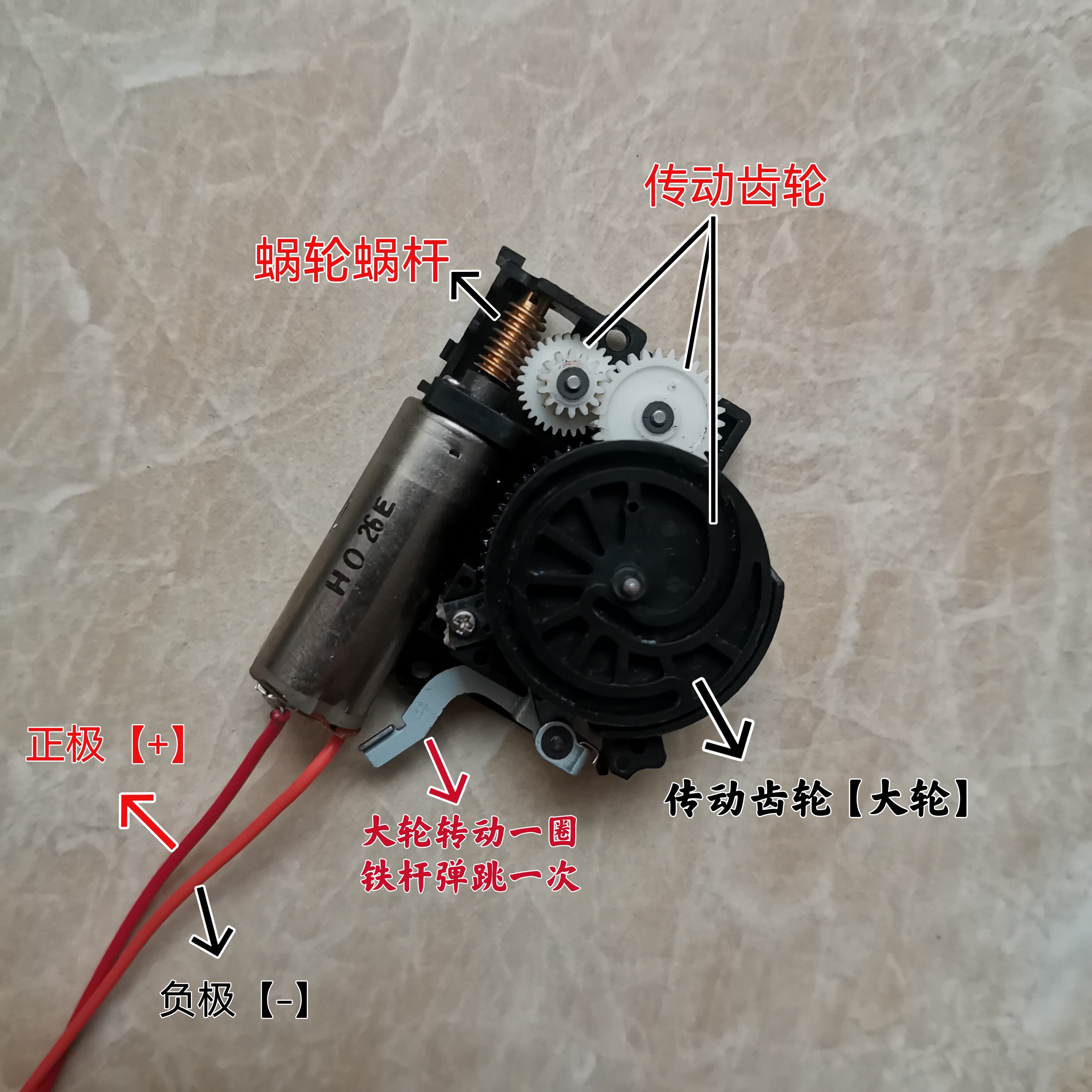 进口微型直流减速电机 蜗轮蜗杆减速电机DC6-12V DIY学生实验研发