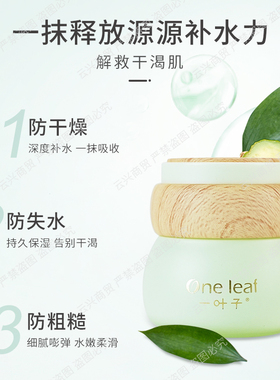 叶子面霜补水保湿美润清爽油腻