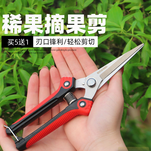 园艺剪刀果树疏果采摘果葡萄省力剪刀子稀果剪直头翘头花剪修枝剪 - 图0
