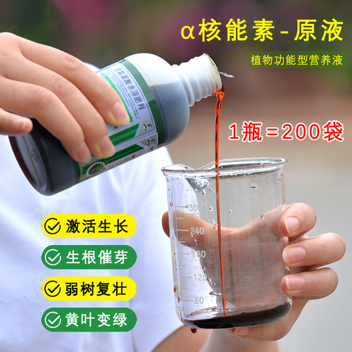 核能素原液大树移栽吊针液浓缩液树木专用注射营养液催根催芽肥料 - 图0