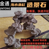 Sea Water Fish Tank Building Stone Coral Base Absorbent Stone Coral Reef Stone Filtration Substitute Living Stone Bacteria