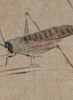 临摹画稿古代虫草图元代钱选