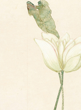 居廉花鸟册十二开群芳竞妍册画稿