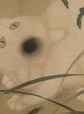五狸奴图临摹画稿画心