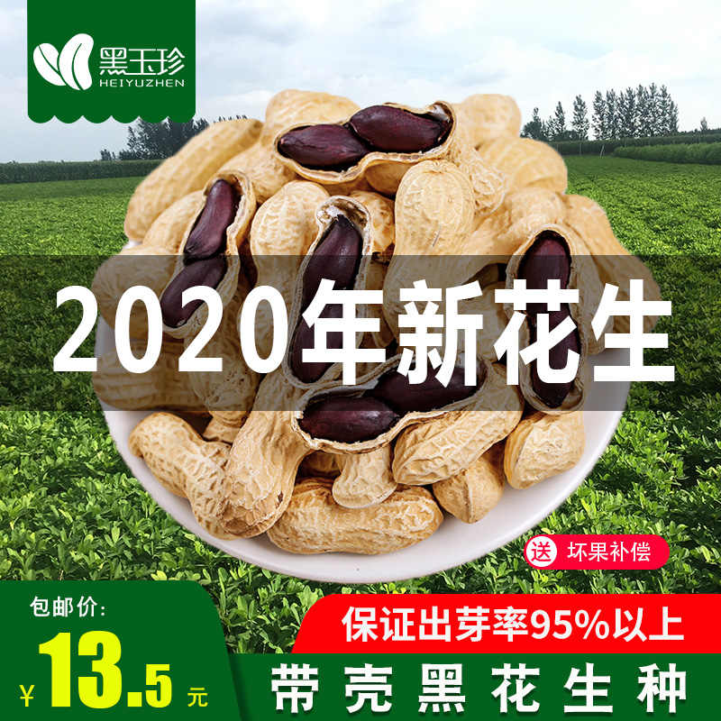 花生种籽 新人首单立减十元 21年9月 淘宝海外