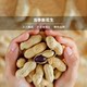 Independent small package of shelled black skinned cooked peanuts, nuts and roasted seeds and nuts