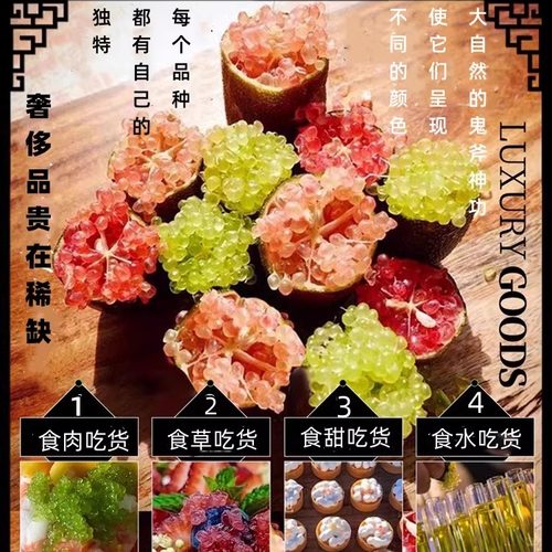 手指柠檬鲜果稀有指橙鱼子酱100g指橘水果顺丰包邮 - 图1