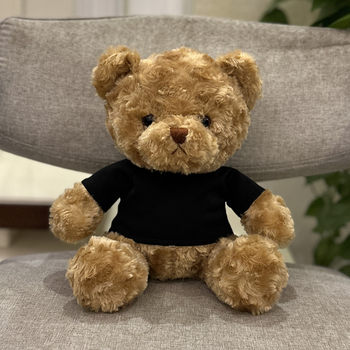 plush toy bear doll with engraved teddy bear DIY printed doll custom company logo event ຂອງຂວັນຂະຫນາດນ້ອຍ