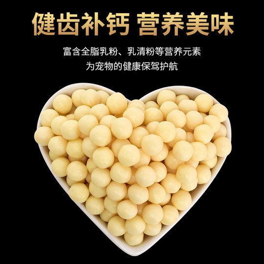 Perro Queso Cachorro Cachorro Bichon Frise