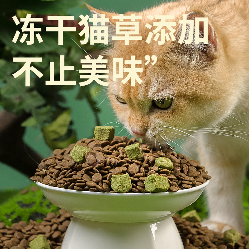 养只宠物猫粮成猫专用猫粮高蛋白成年猫草冻干温和化毛全价鸡肉粮-图2