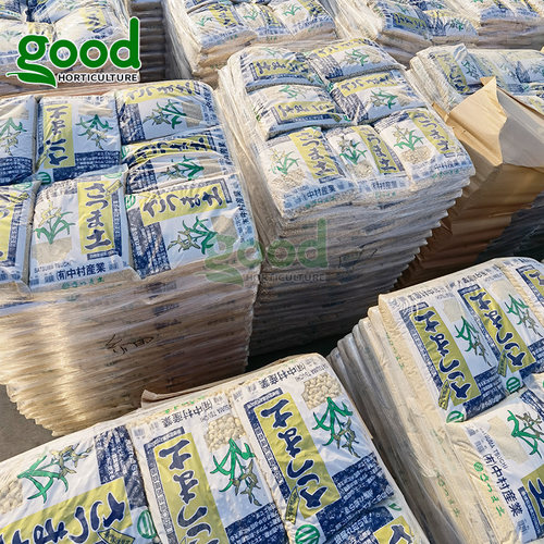 日本进口中村植金石萨摩金石兰花植料兰科基质蝴蝶兰君子兰配料土 - 图0