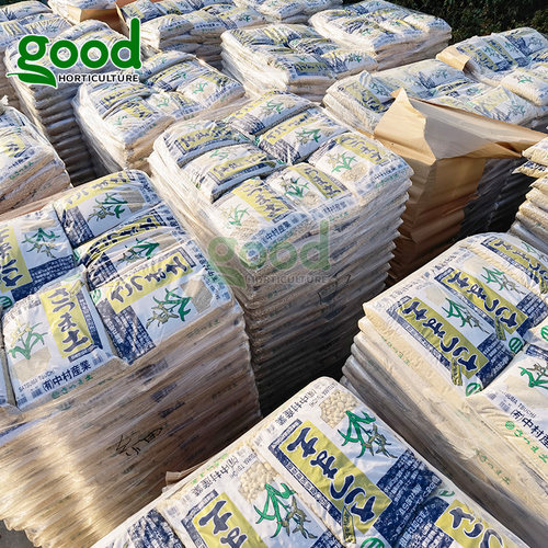 日本进口中村植金石萨摩金石兰花植料兰科基质蝴蝶兰君子兰配料土 - 图2