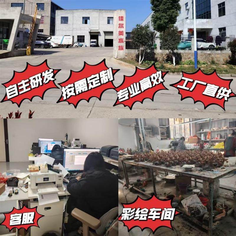 爬宠躲避洞鱼缸龟台造景装饰树脂工艺品摆件乌龟石头假山仿真爆款,淘宝优惠券,粉丝福利购,淘宝优惠卷