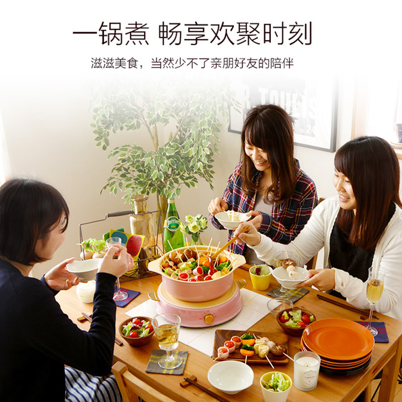 日本爱丽思电磁炉陶瓷锅套装不粘锅 爱丽思由昉电磁炉/陶炉
