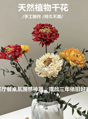 天然金蕊牡丹干花真花风干客厅餐桌装饰摆件简约风格家居装饰