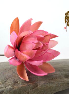 天然荷花插花装饰客厅手工干花