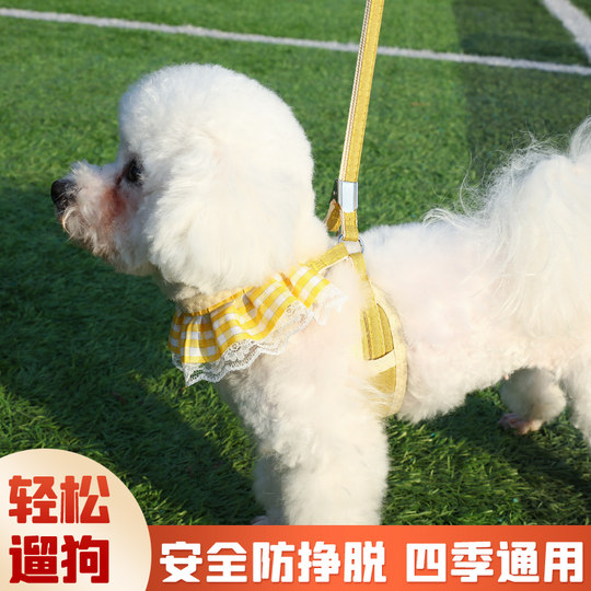 Anti-Escape Puppy Leash Harness Teddy Bichon
