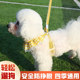 Anti-Escape Puppy Leash Harness Teddy Bichon