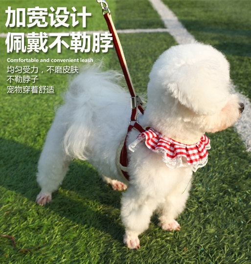 Anti-Escape Puppy Leash Harness Teddy Bichon