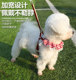 Anti-Escape Puppy Leash Harness Teddy Bichon