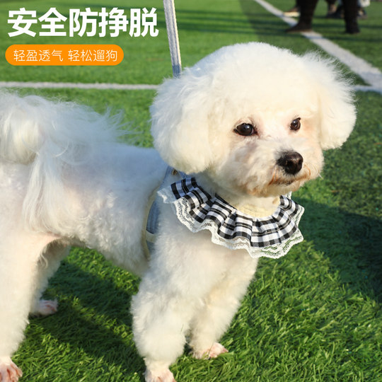 Anti-Escape Puppy Leash Harness Teddy Bichon