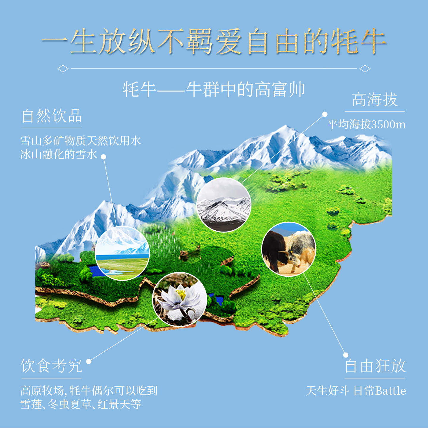 【百补】青藏祁莲青海祁连山纯牛奶早餐200mlx12支含30%生牦牛乳,淘宝优惠券,粉丝福利购,淘宝优惠卷