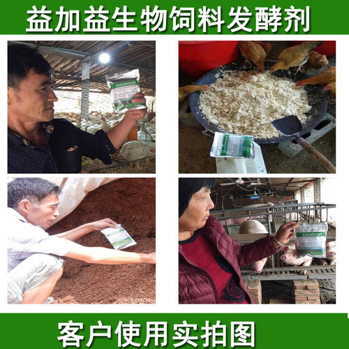 豆渣饲料发酵剂菌种泔水潲水发酵粉豆腐渣酒糟玉米em发酵菌养殖猪 - 图1