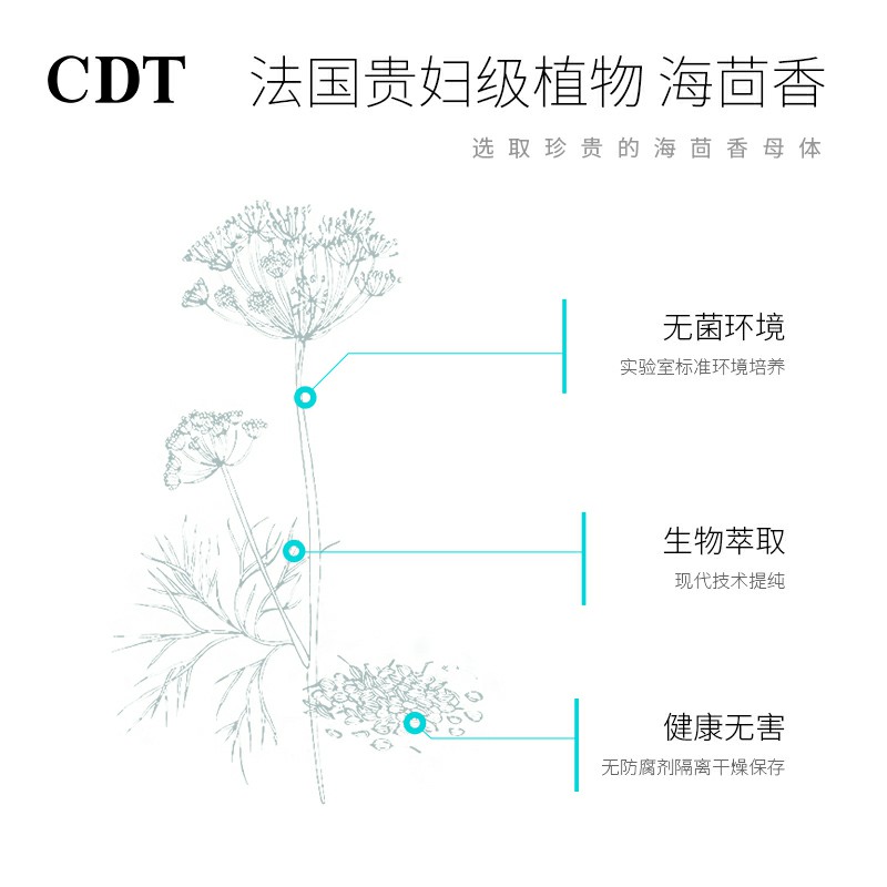 新款 海茴香洁面乳氨基酸温和水润嫩白亮肤泡沫深层清洁 CDT 新款 海茴香洁面乳氨基酸温和水润嫩白亮肤泡沫深层清洁 CDT
