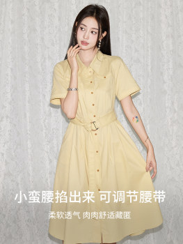 Forest Bird Workwear Commuting Shirt Skirt Women's Summer New Short-Sleeved Dress 12241136