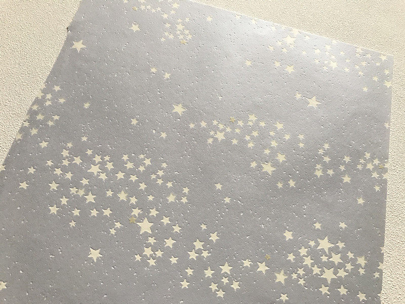 日本墙纸浪漫星空墙纸儿童蓄光壁纸银河满天星墙纸天花板fe1375 领券立减元到手价38元0人已购买