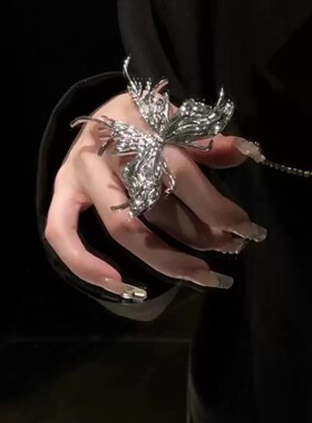 大蝴蝶夸张戒指女时尚个性冷淡风小众设计师高级感独特时尚食指戒