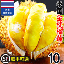 Thai gold pillows durian fresh fruit 10 catties One whole whole box Shunfeng Optional When season imported balm durian meat