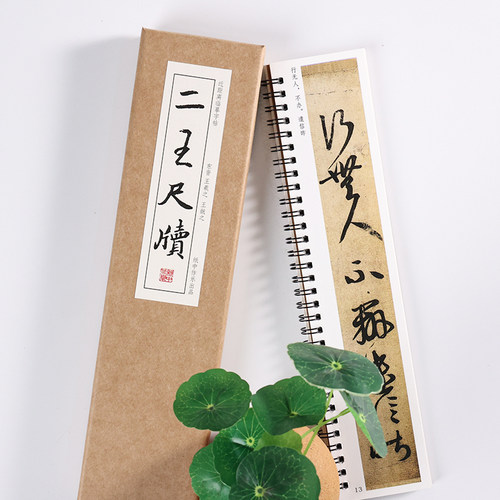 王羲之王献之《 二王尺牍》行书草书九帖手札 快雪时晴帖 平安帖丧乱帖游目帖中秋帖毛笔书法近距离临摹字帖字卡传本墨迹精选全集 - 图2