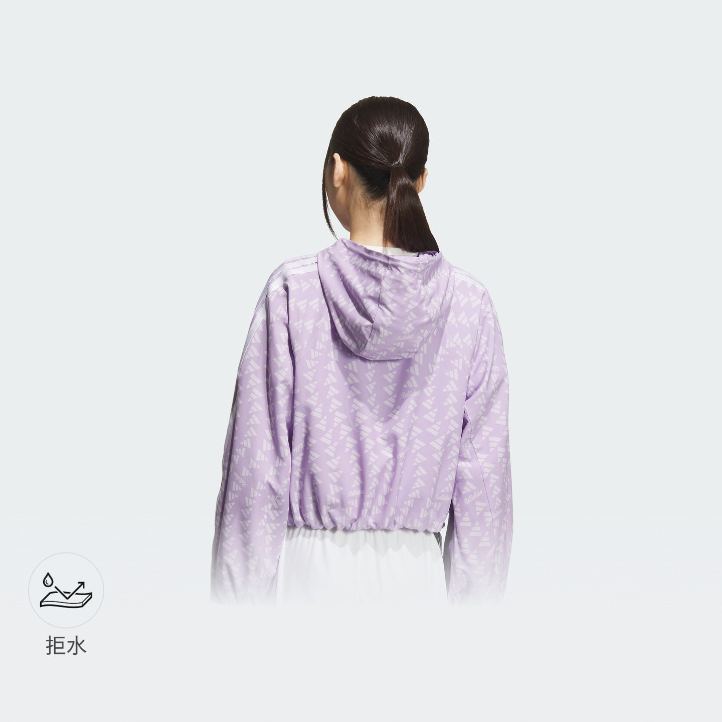 图 2