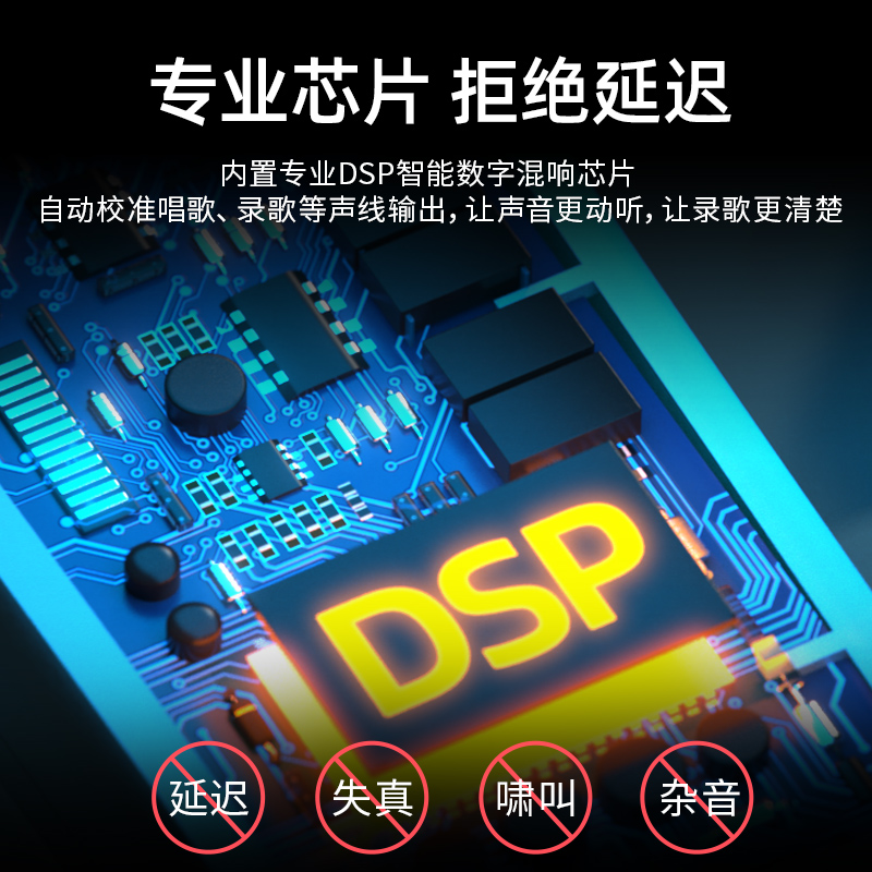 新科話筒音響一體麥克風無線家用手機藍牙適用于全民k歌兒童家用_藝典電器專營店_影音電器
