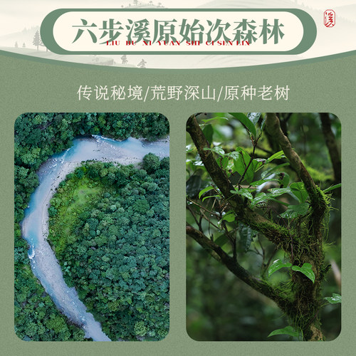 白沙溪湖南安化黑茶正品皇家溪花卷茶鹿步汀岚六步溪百两茶3.62kg - 图0