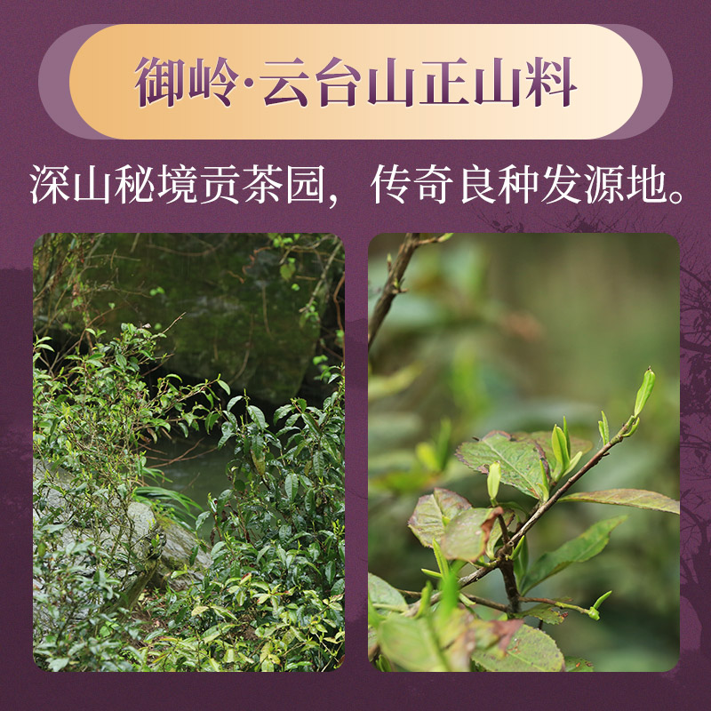 白沙溪湖南安化黑茶正品皇家溪御岭紫境荒山金花茯砖茶800g礼盒装