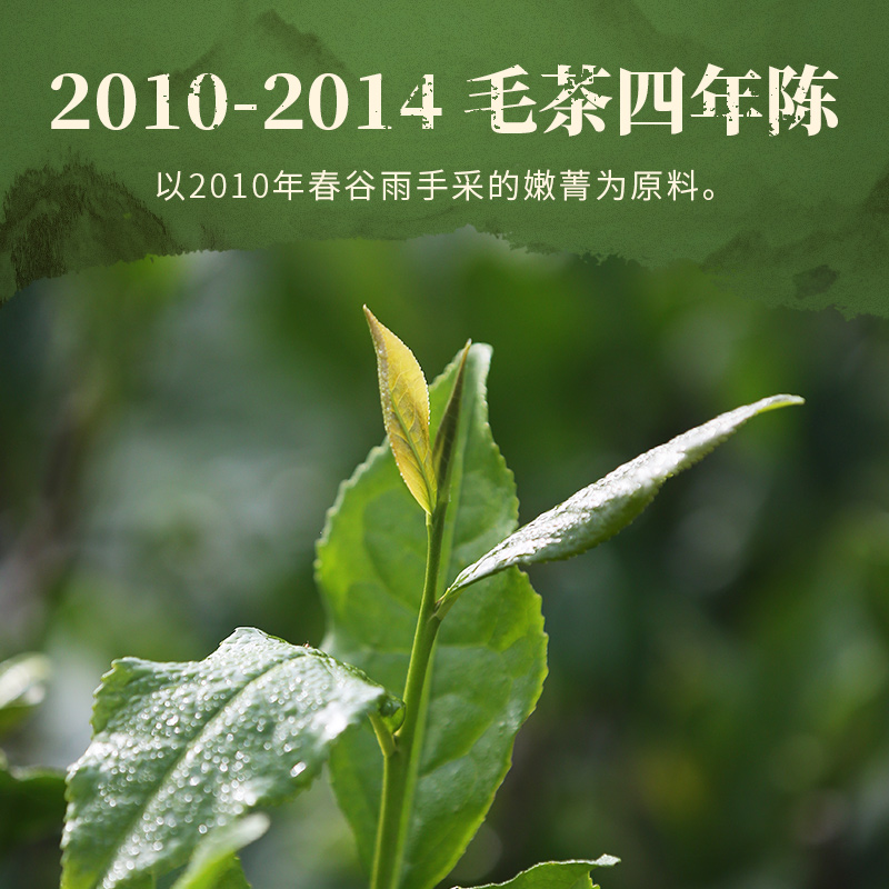 白沙溪官方正品湖南安化黑茶2010陈年重剑金花茯砖茶90g罐装茶叶-图0