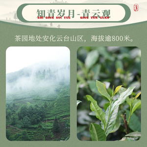 白沙溪湖南正宗安化黑茶皇家溪荒野山境茶望青云正品天尖茶500g