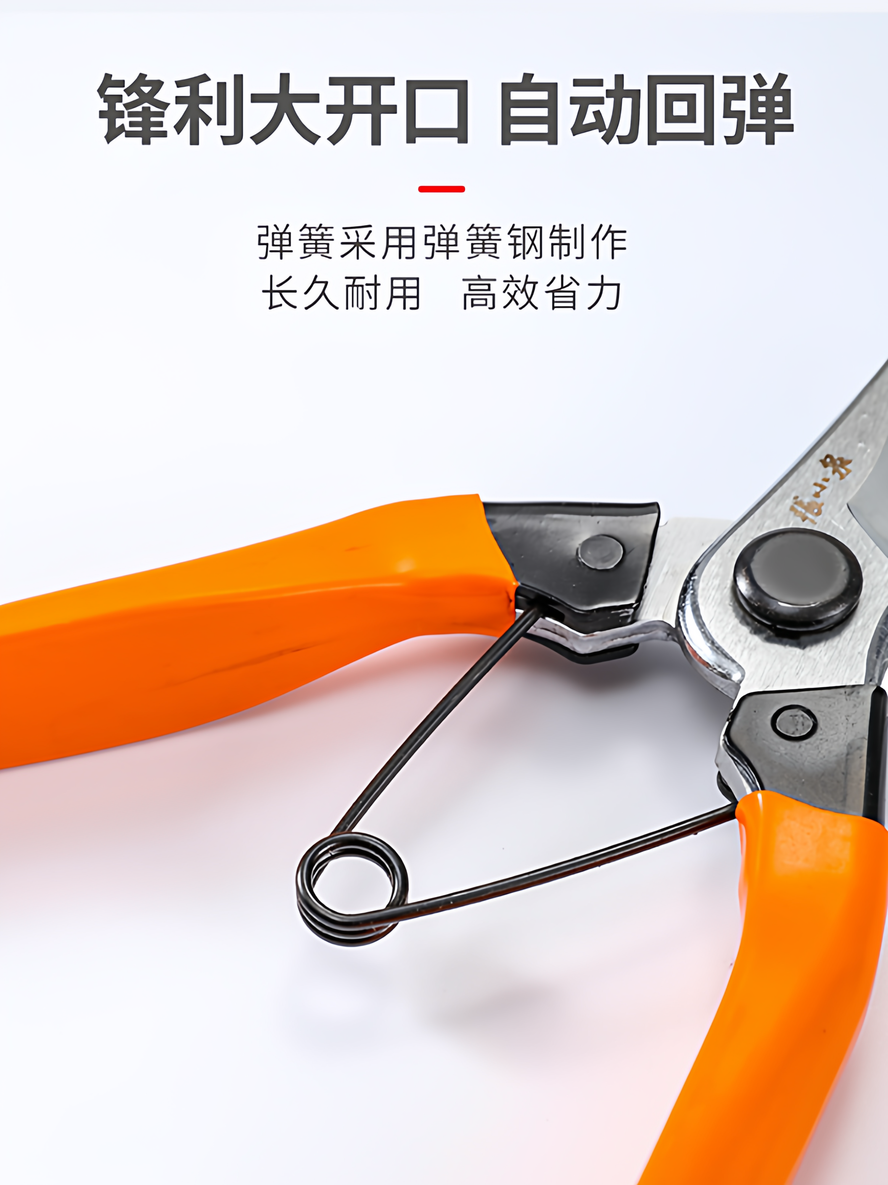 张小泉园艺剪枝剪刀修枝剪果树枝剪树枝专用剪园林粗枝花艺剪正宗,淘宝优惠券,粉丝福利购,淘宝优惠卷