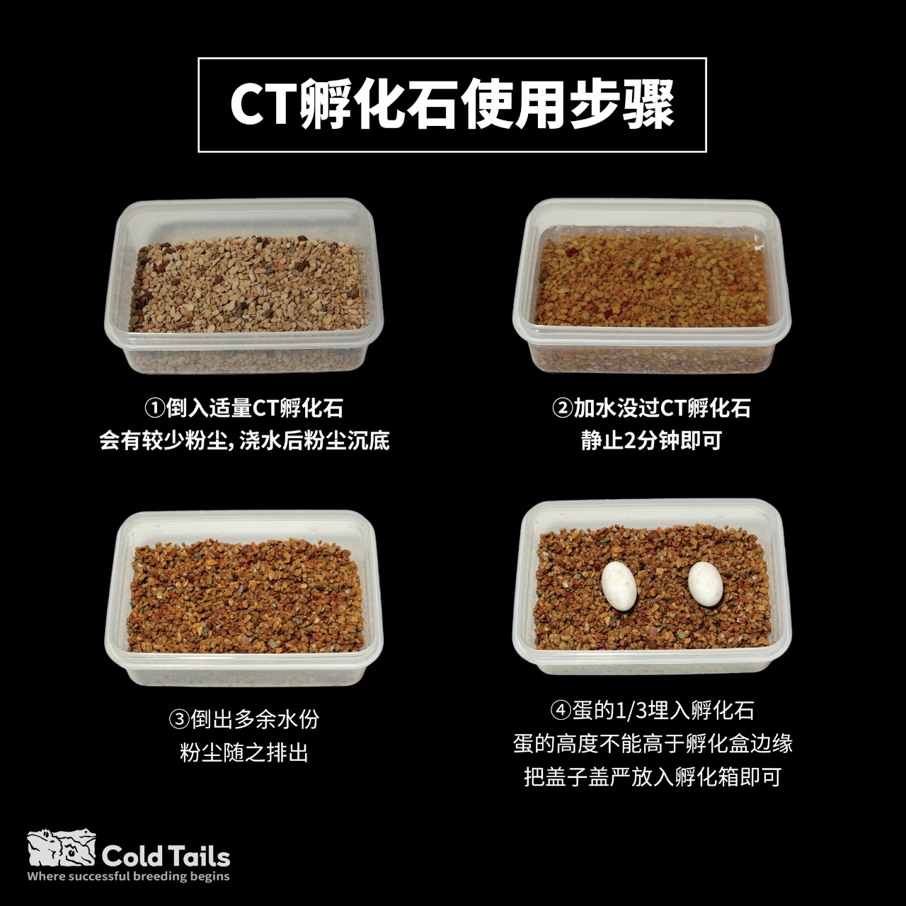 R属守宫睫角盖勾亚巨人守宫孵化石无菌火山石守宫繁殖产蛋孵化石,淘宝优惠券,粉丝福利购,淘宝优惠卷