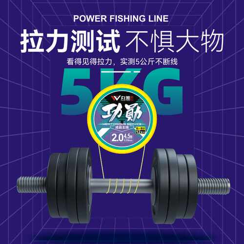 丸美享钓功勋主线组成品线组套装全套绑好台钓鱼线超强拉力尼龙 - 图2
