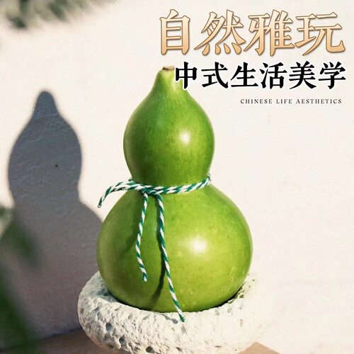 绿色新鲜葫芦佛手柑现摘青皮翡翠葫芦家用客厅禅意中式绿植摆件 - 图1