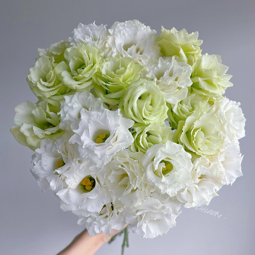 玫瑰洋桔梗康乃馨鲜花教师节花束鲜花高级插花云南基地直发顺丰 - 图1