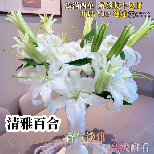 香水百合鲜花浓香型鲜花云南基地直发日常插瓶高端花材氛围感鲜花 - 图0