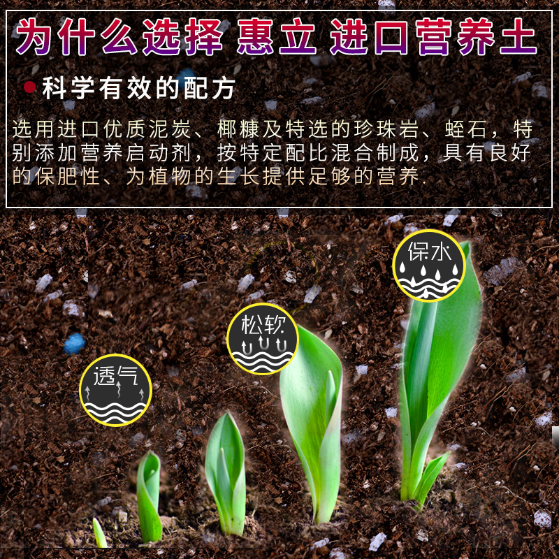 营养泥炭土月季专用养花土壤有机大包种菜土绣球多肉盆栽通用型土 - 图2