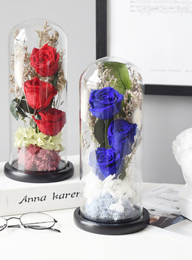 北欧风格创意真玻璃罩浪漫永生花